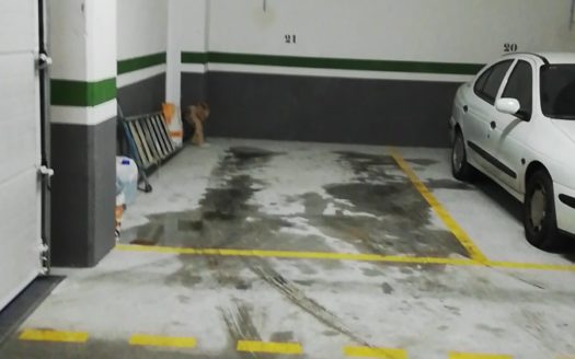 PROMOCIÓN LAS MORERAS