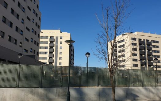 PROMOCIÓN LAS MORERAS